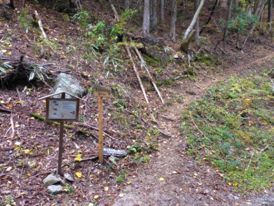 カラマツコース登山口